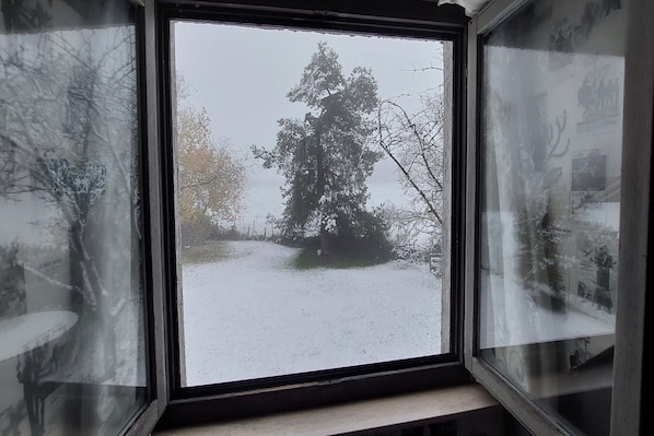 A window with a view of a snowy landscape, including a large tree and a fence. - Case Belvene regio Spa, Theux (La Reid)