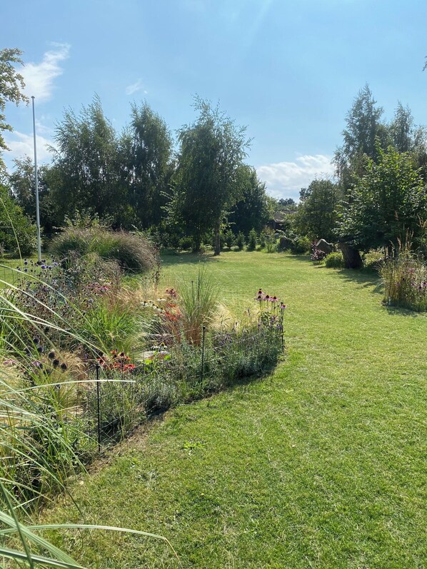 A well-maintained grassy area with a variety of plants and trees, a metal fence, and a clear sky.