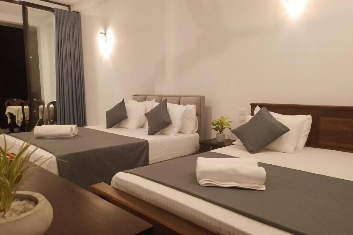 A hotel room with two beds, a bedside table, a small plant, and a window with curtains.