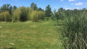 A grassy field with trees and a clear sky. - Vendée country cottage 5 minutes from La Roche sur Yon (La Genétouze)
