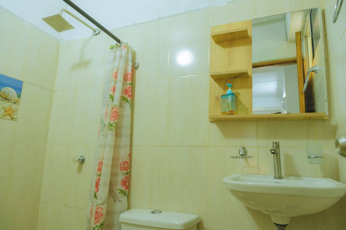 A bathroom with a toilet, shower, sink, and a mirror above the sink.