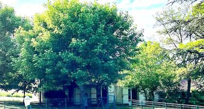 Green cocoon with private swimming pool