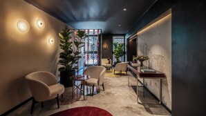 A modern interior with a seating area, a potted plant, and a decorative wall. - Palazzo Rota Luxury Apartments (Venice)