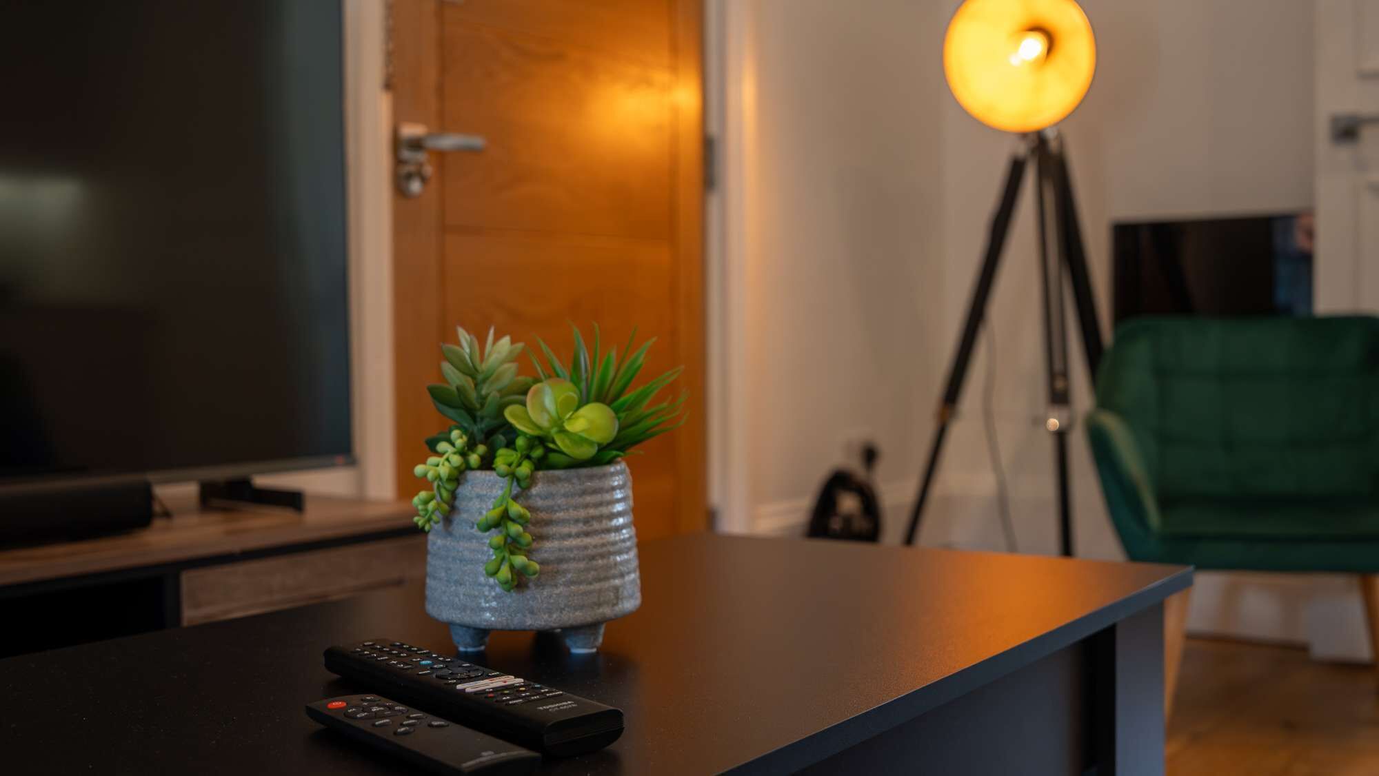 Una sala de estar con televisión, control remoto, planta en maceta, lámpara de pie y una silla verde.
