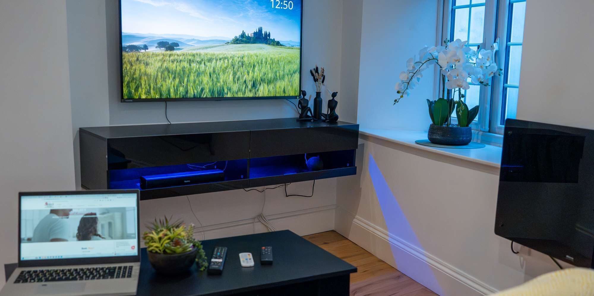 Una sala de estar con una televisión, una computadora portátil, un control remoto y una planta decorativa.
