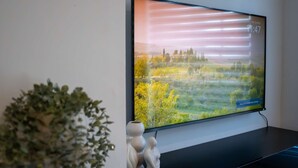 A flat-screen TV mounted on a wall displaying a scenic landscape. - 36 Queens Road Top Floor (Reading)