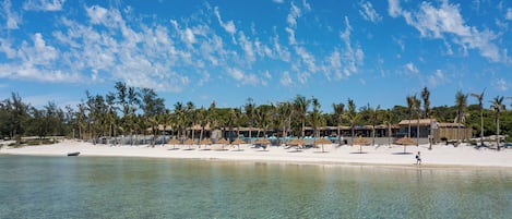 Studio Luxe, patio, vue plage | Vue sur la plage/l’océan