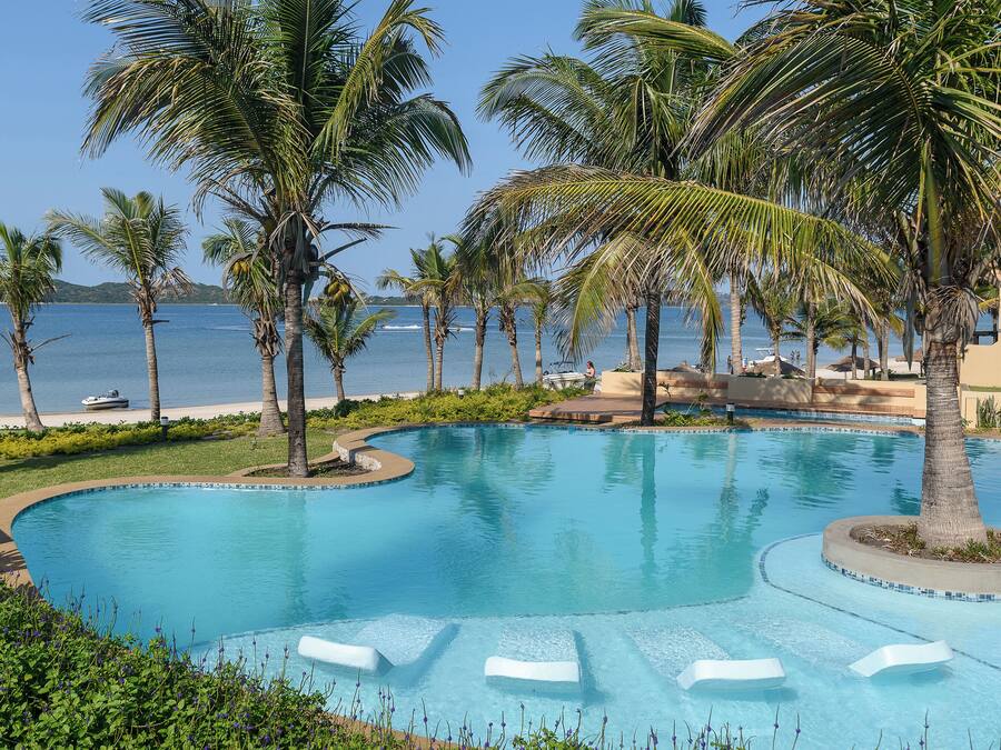 A pool with a curved design, surrounded by palm trees and a view of the sea.