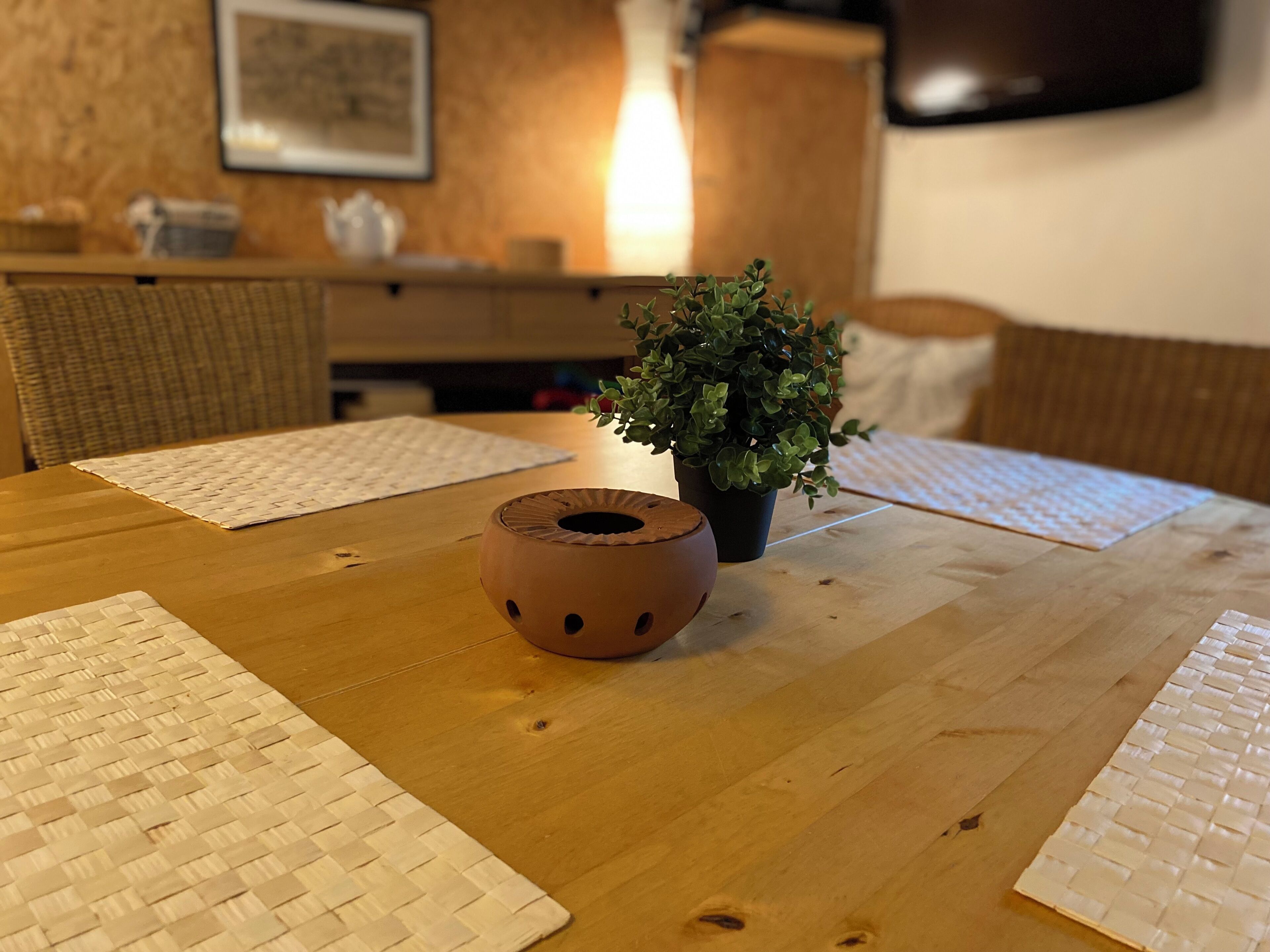 A wooden table with woven placemats, a small potted plant, and a clay pot.