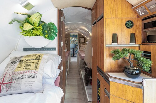 Alaya Airways - a retired vintage aircraft tucked away amidst Welsh mountains