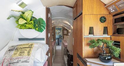 Alaya Airways - a retired vintage aircraft tucked away amidst Welsh mountains