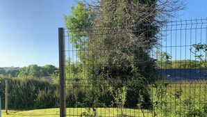 A fenced garden area with a grassy lawn, a wooden post, and dense foliage in the background.