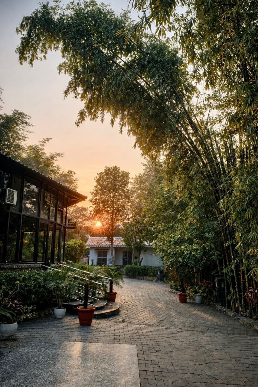 A paved pathway leading to a traditional building with a tiled roof, surrounded by bamboo and potted plants.