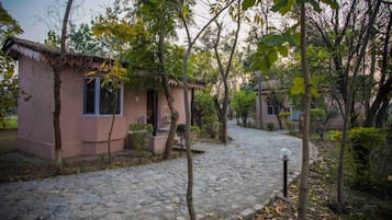 Vista al jardín