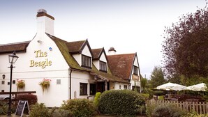 A traditional pub named 'The Beagle' with a white facade, multiple windows, and a signboard. - Premier Inn Ipswich - Chantry Park (Ipswich)