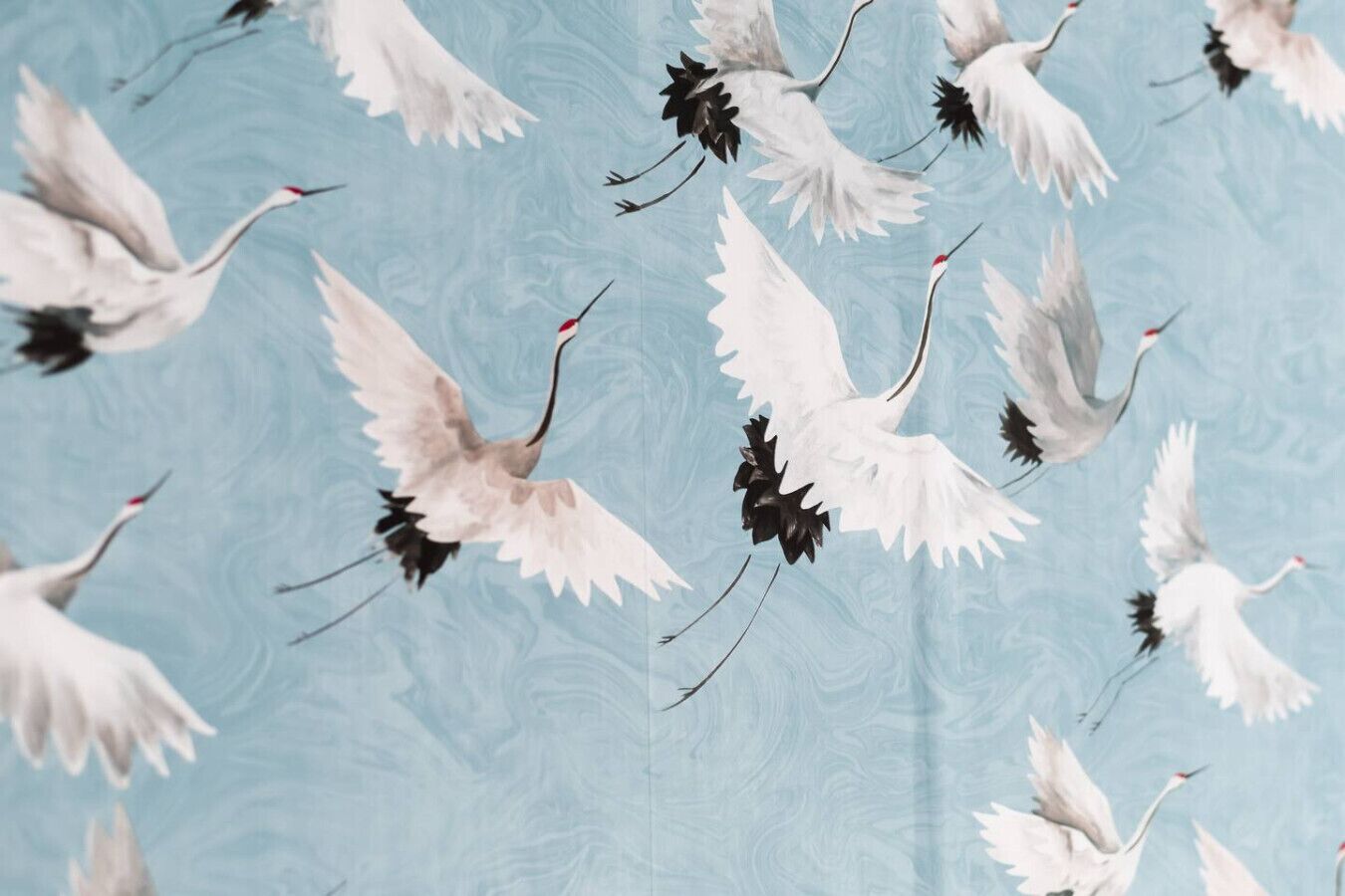 Détail de l’intérieur