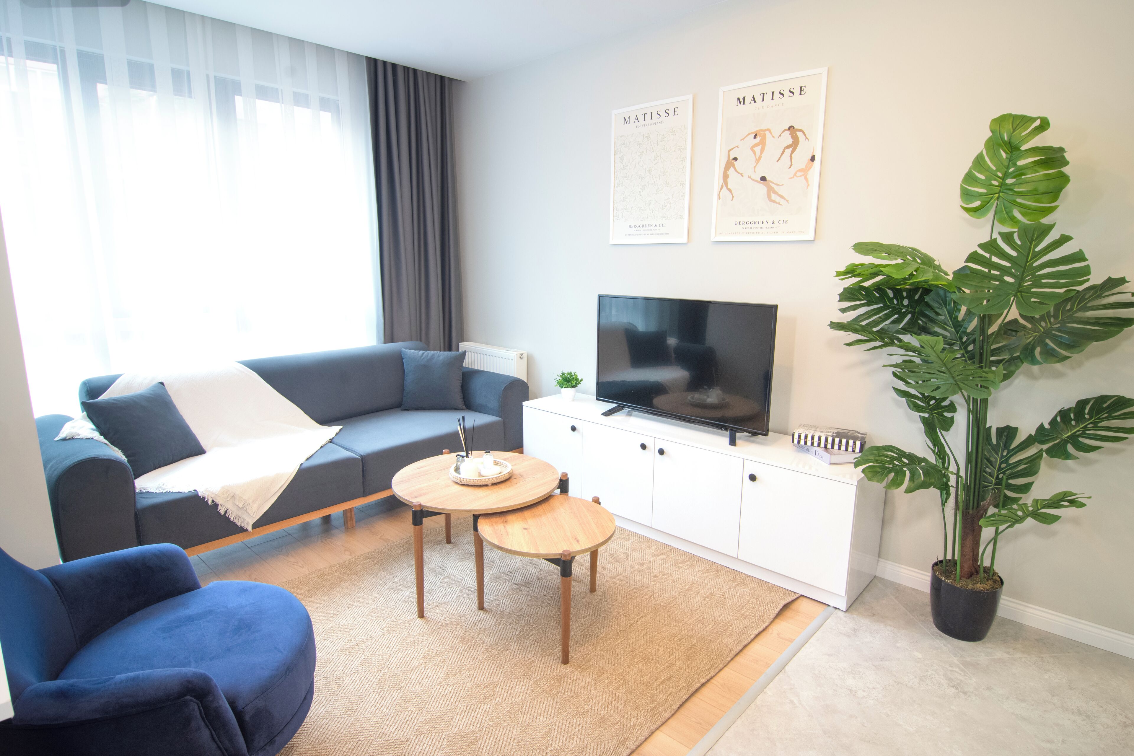 A modern living room with a sofa, a coffee table, a TV, and a large plant.