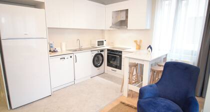 brand new apt with bedroom & office