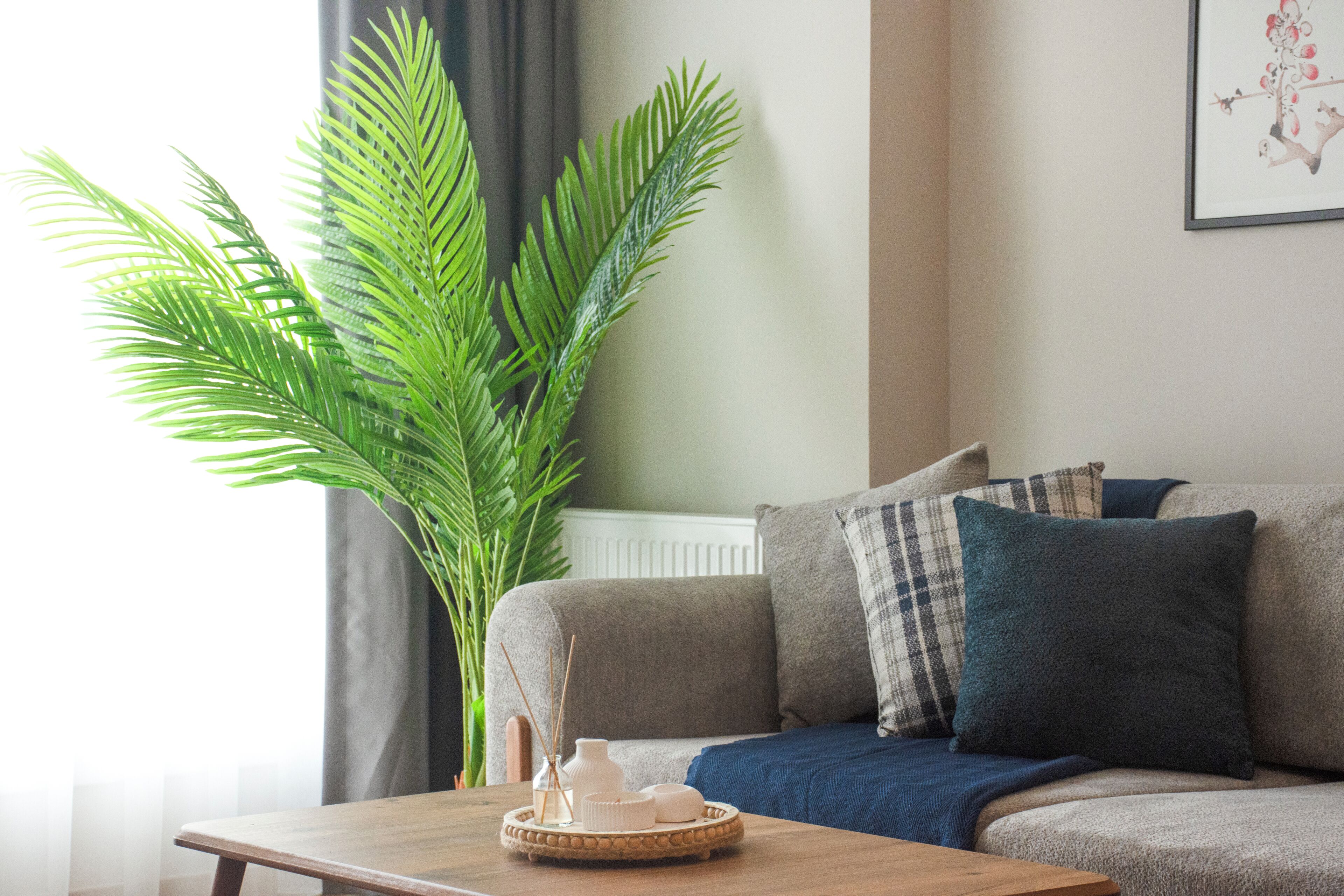 Una Smart TV, una oficina