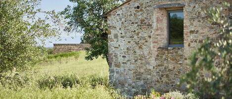 Áreas de la propiedad