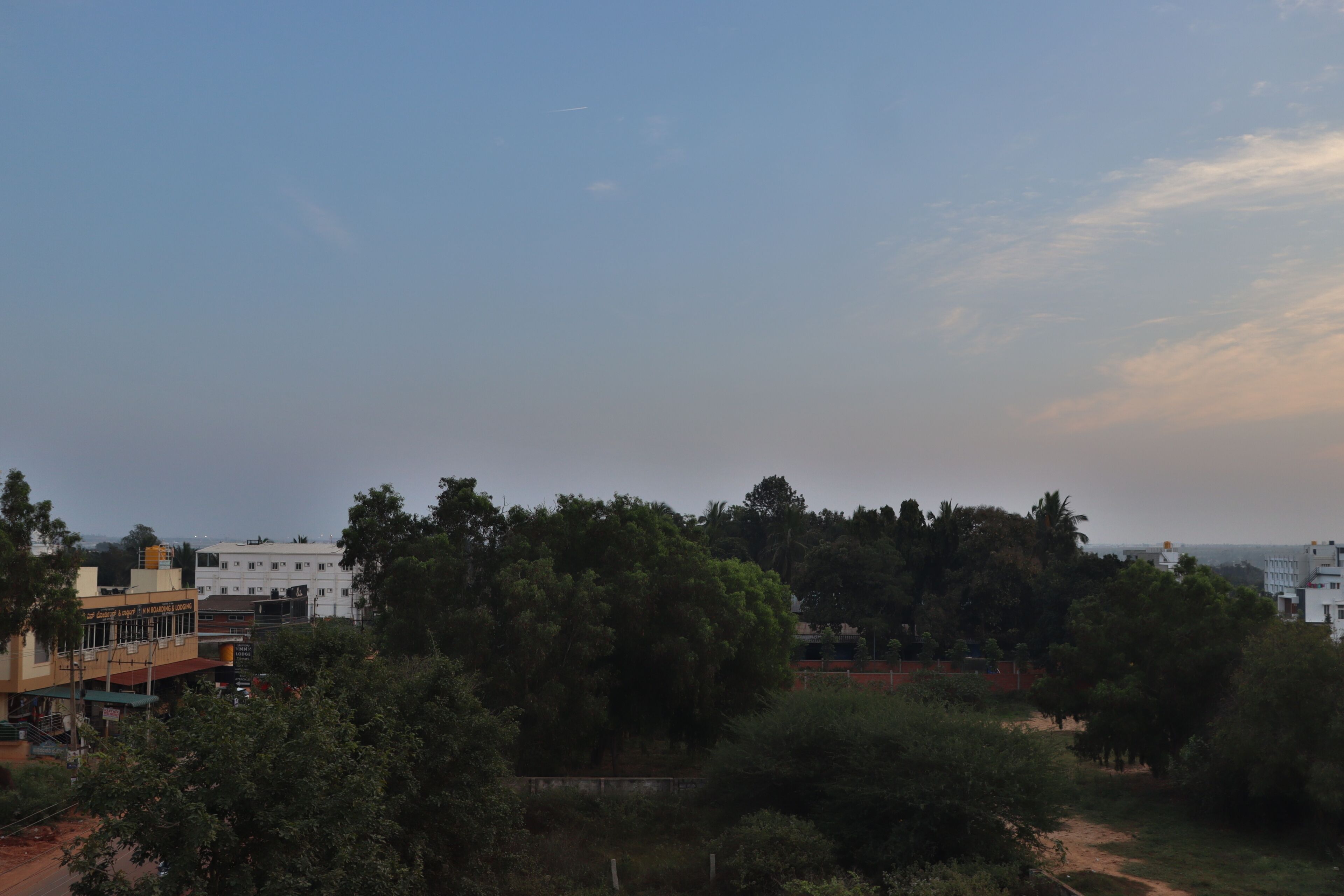 A view of a building with a flat roof and a large tree in the foreground.