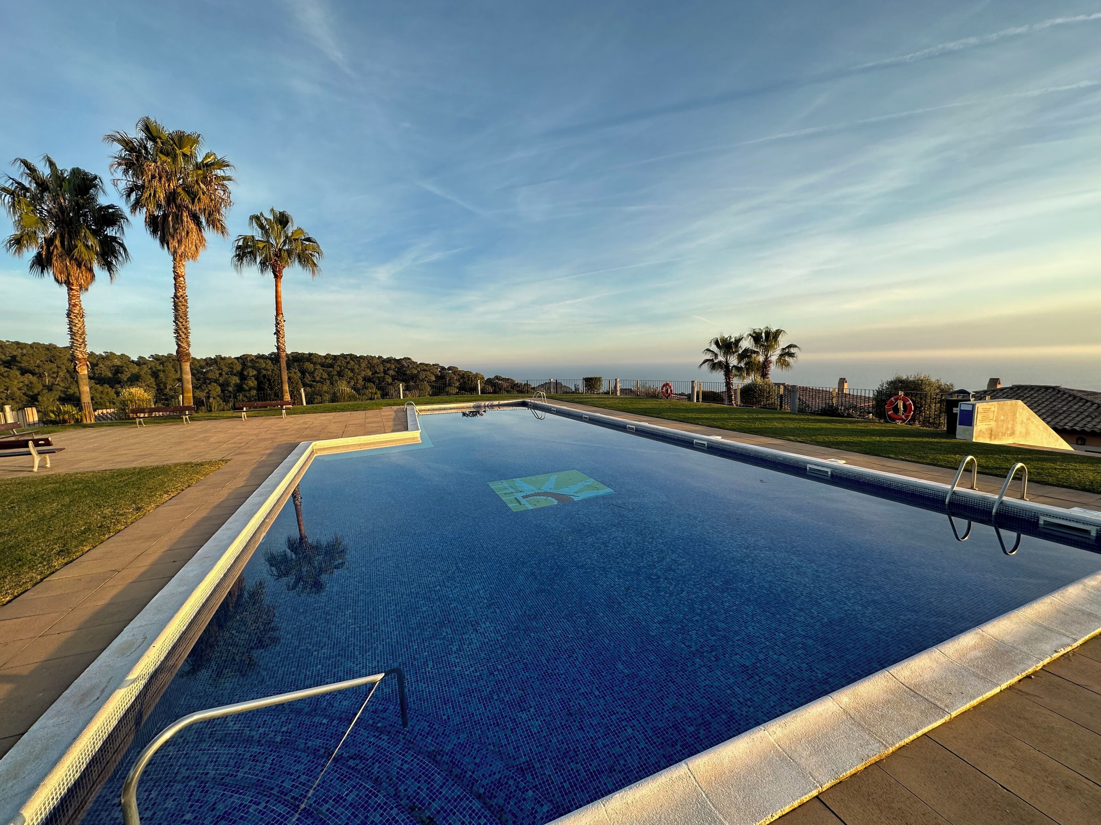 Une piscine rectangulaire dont le bord est recouvert de carreaux, entourée d’une allée pavée et de palmiers.