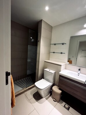 Shower, soap, toilet paper