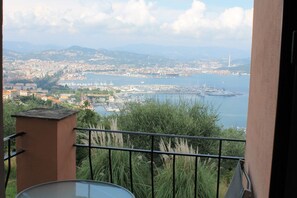 Property grounds - Farmholiday Terrazza sul Golfo - 5 Terre - Bilocale free wifi free parking (La Spezia)
