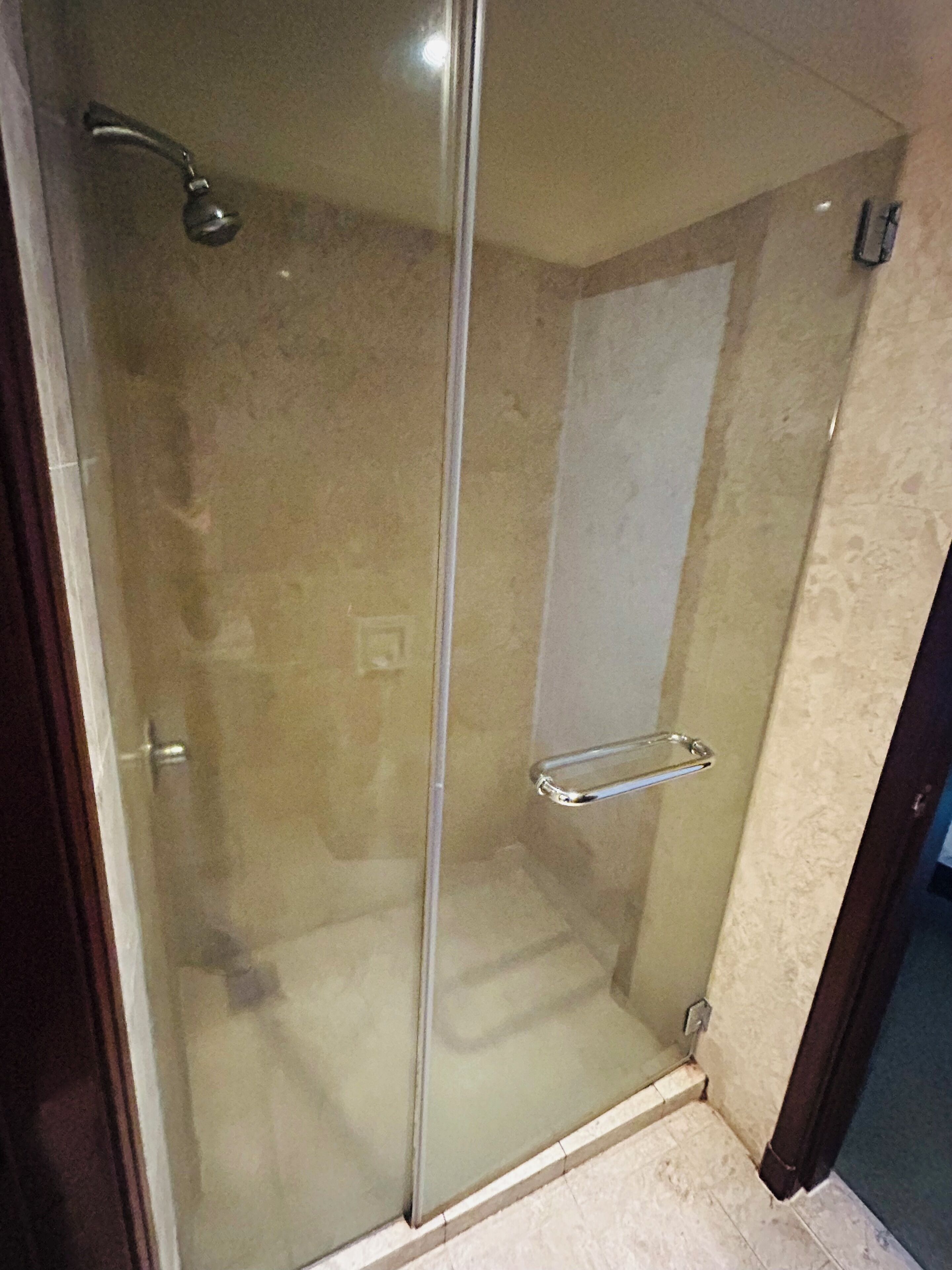 A glass-enclosed shower stall with a handheld showerhead and a towel rack.