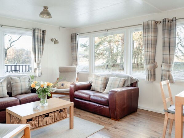 TV - Beautiful private villa for 6 guests with WIFI, TV, patio, pets allowed and panoramic view (Boat Of Garten)