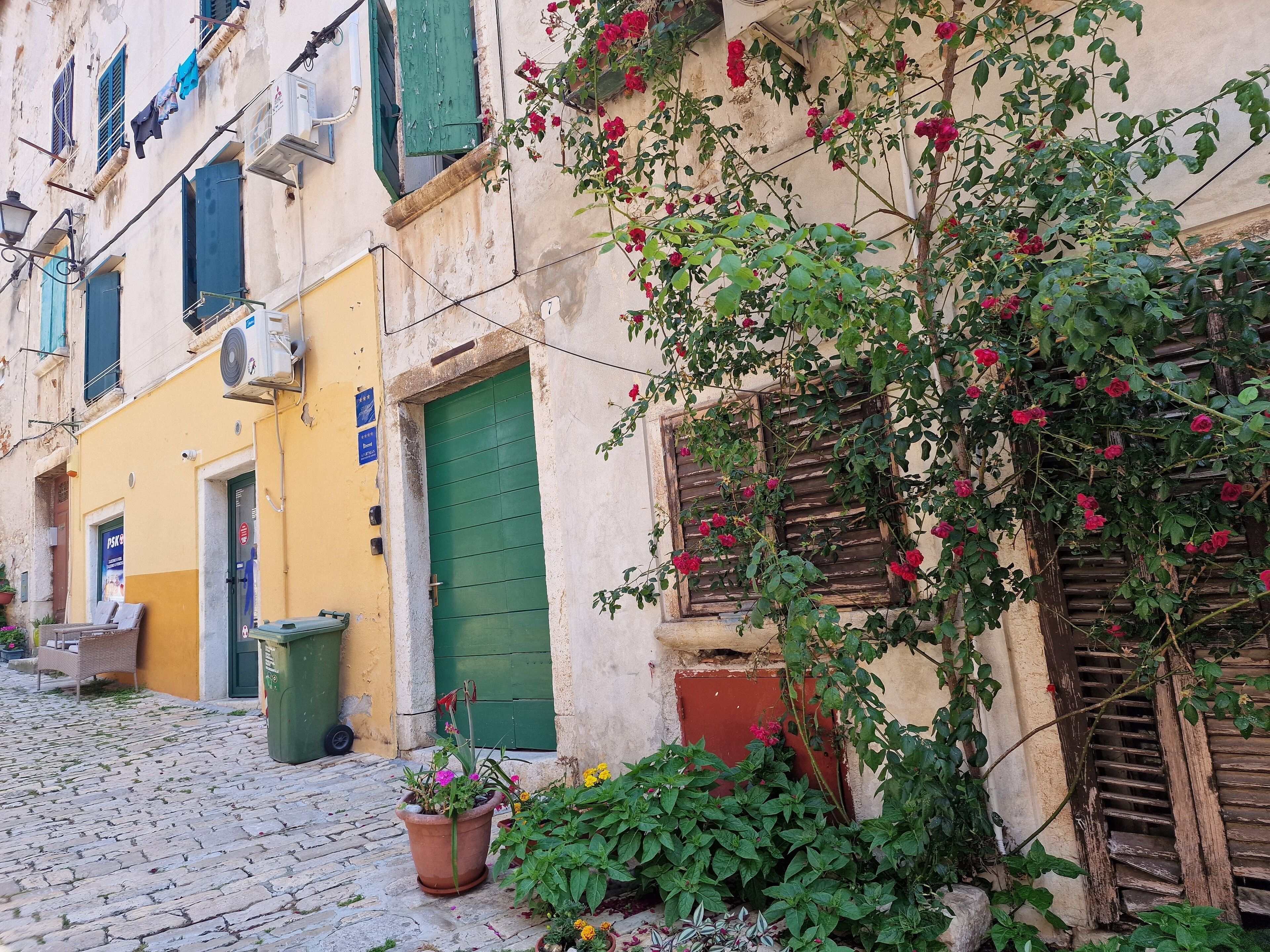 A cobblestone street with a yellow building, a green door, and a wall with climbing roses.
