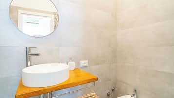Shower, hair dryer, bidet, towels