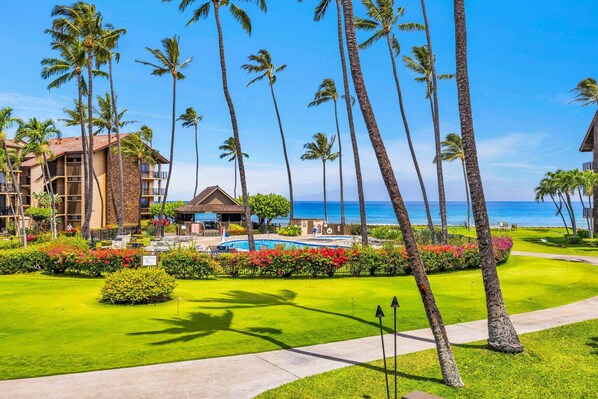 A resort with a pool, palm trees, and a view of the ocean.