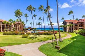 Property grounds - New Listing! Private 1bd lanai with ocean views (Lahaina)