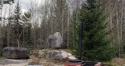 Small pet-friendly house with amenities