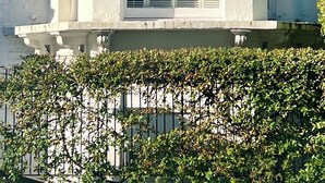 Un bâtiment blanc doté d’une grande fenêtre et de volets, entouré de verdure.