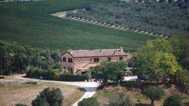 Une maison de campagne entourée de vignobles luxuriants et surplombée d’un ciel d’un bleu éclatant.