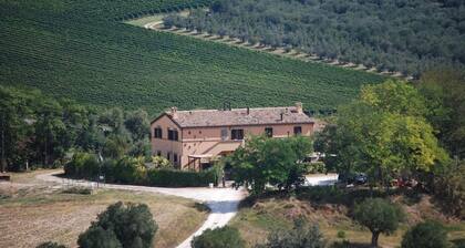 Conero, sea, countryside. Ladybugs Apartment