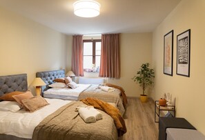 2 bedrooms, desk, iron/ironing board, WiFi