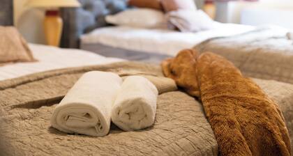 Charming apartment in the old town "Arkadenhof"