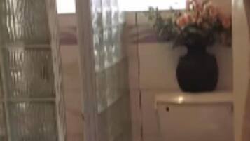 Shower, towels, soap, shampoo