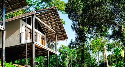 Eco Vista