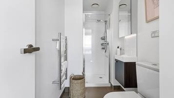 Shower, hair dryer, towels, shampoo