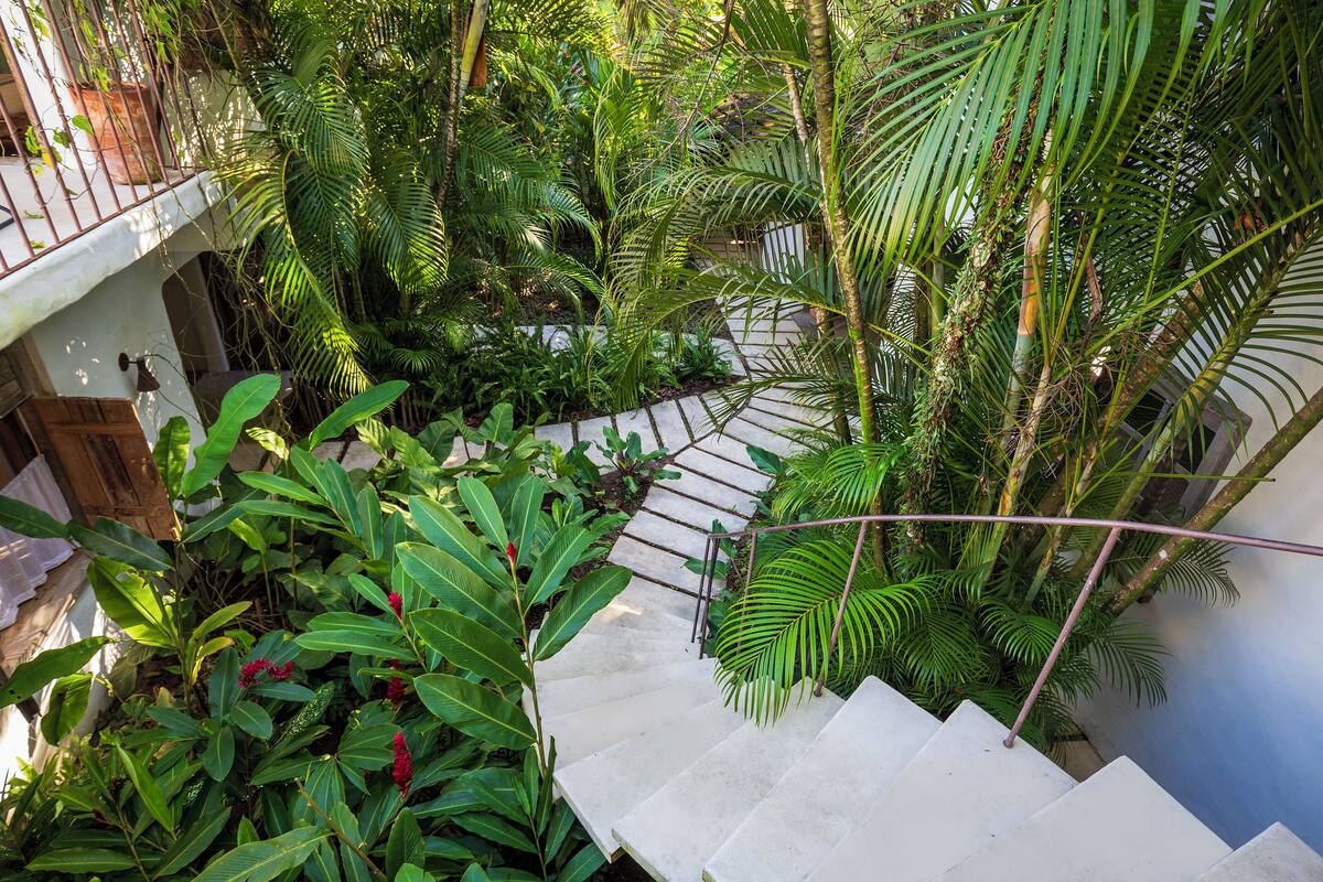 Una scala immersa nel verde che conduce a un'area con pareti bianche e un balcone.