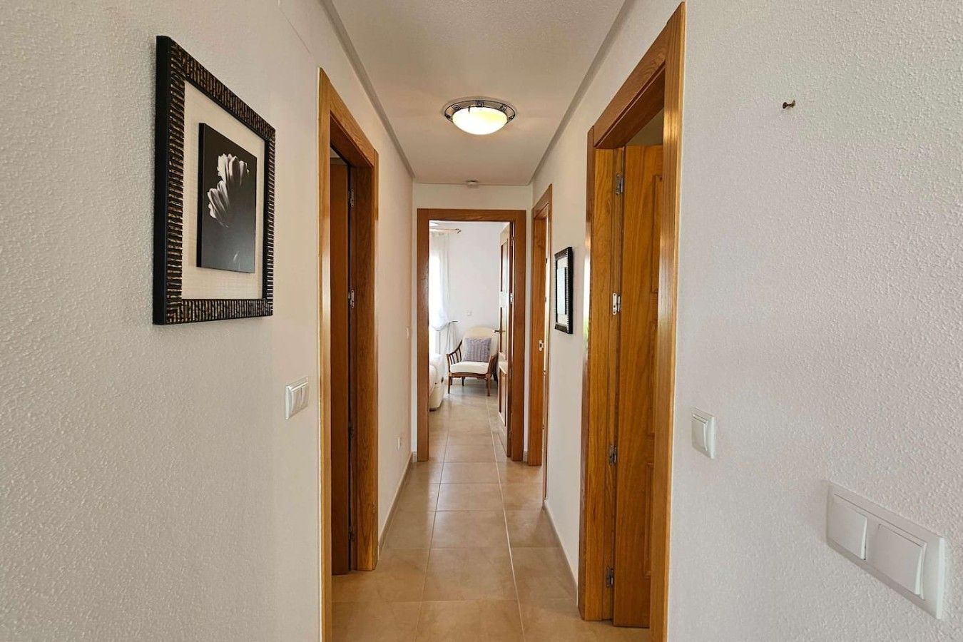 Un couloir avec des portes en bois, un tableau encadré au mur et un luminaire au plafond.