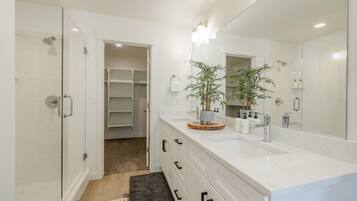 A modern bathroom with a walk-in shower, a large mirror, and a vanity with a sink and storage.
