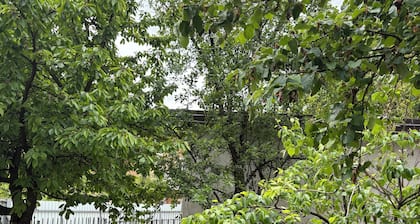 Urban Wing