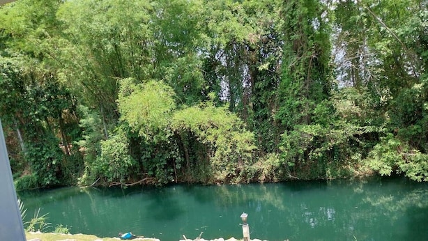 Vista de un río rodeado de abundante vegetación, una terraza de madera y un farol.