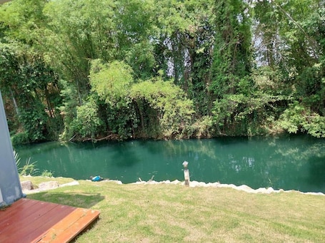 Vista desde la habitación