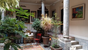 A well-lit indoor space with a variety of potted plants, a wooden chair, a table, and a staircase. - Villa Colonna (Quito)